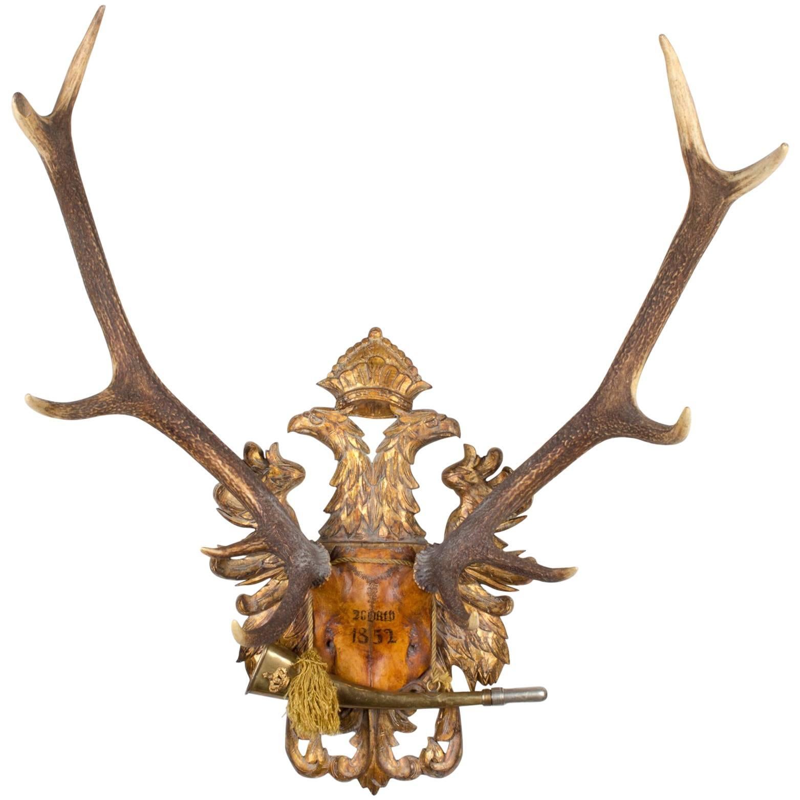 Austrian Red Stag Trophy on Gilt Eagle Plaque with Original Hunt Horn