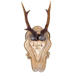 Group of Three Roe Trophies of Kaiser Wilhelm II of Germany Group of Three Roe Trophies of Kaiser Wilhelm II of Germany