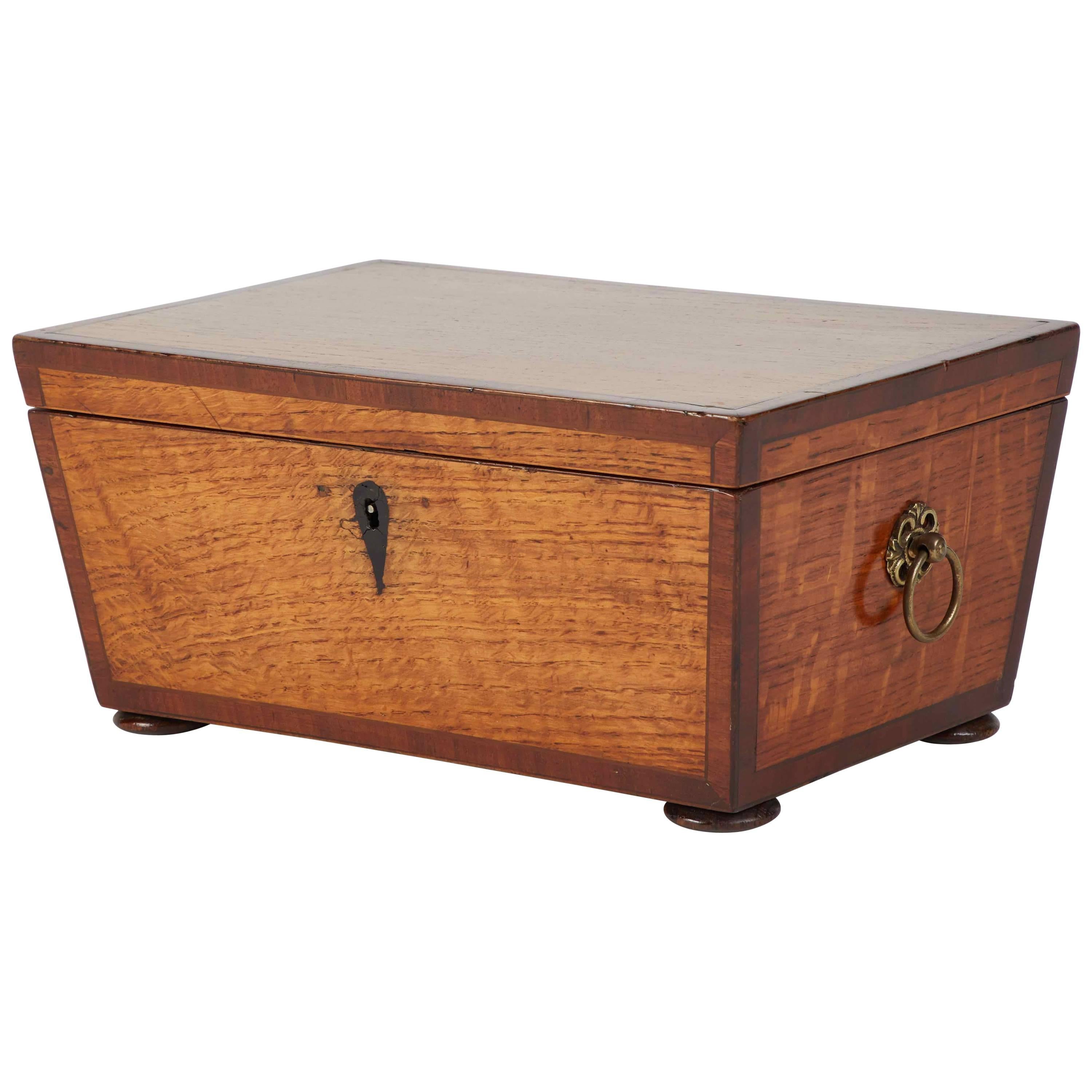 1830s English Cross Banded Oak Box 