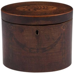 Antique Conch Shell Sycamore Oval Tea Caddy, 18th Century
