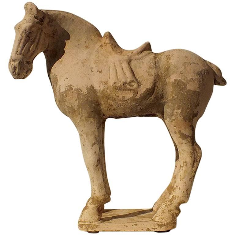 Painted Red Pottery Saddled Horse