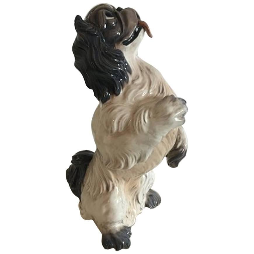 Dahl Jensen Figurine of Dog, Large Pekingese #1169 For Sale