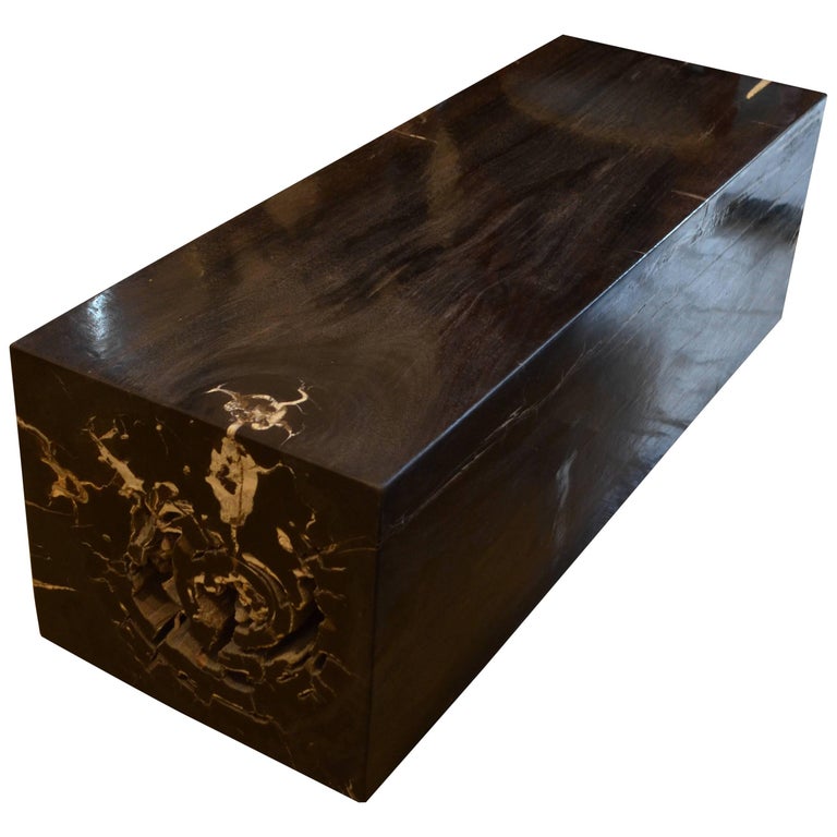 Andrianna Shamaris Super Smooth Petrified Wood Log Bench For Sale