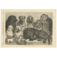 Antique Print of Prize Dogs at the Crystal Palace Dog Show, 1870