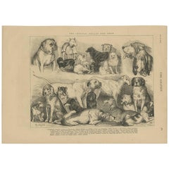 Antique Print of the Crystal Palace Dog Show by the Graphic, 1874