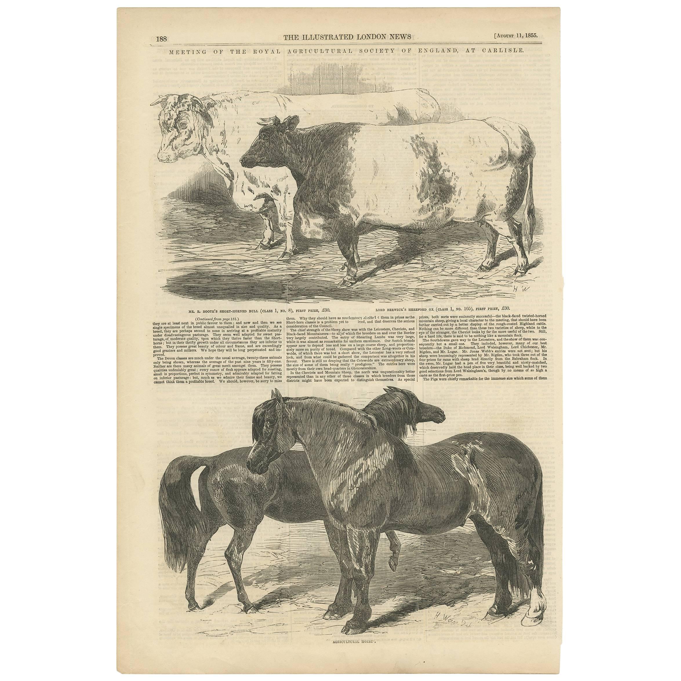 Antique Print of the Royal Agricultural Society of England at Carlisle, 1855 For Sale