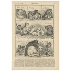 Antique Print of Prize Cats at the London Crystal Palace by Harper's Weekly
