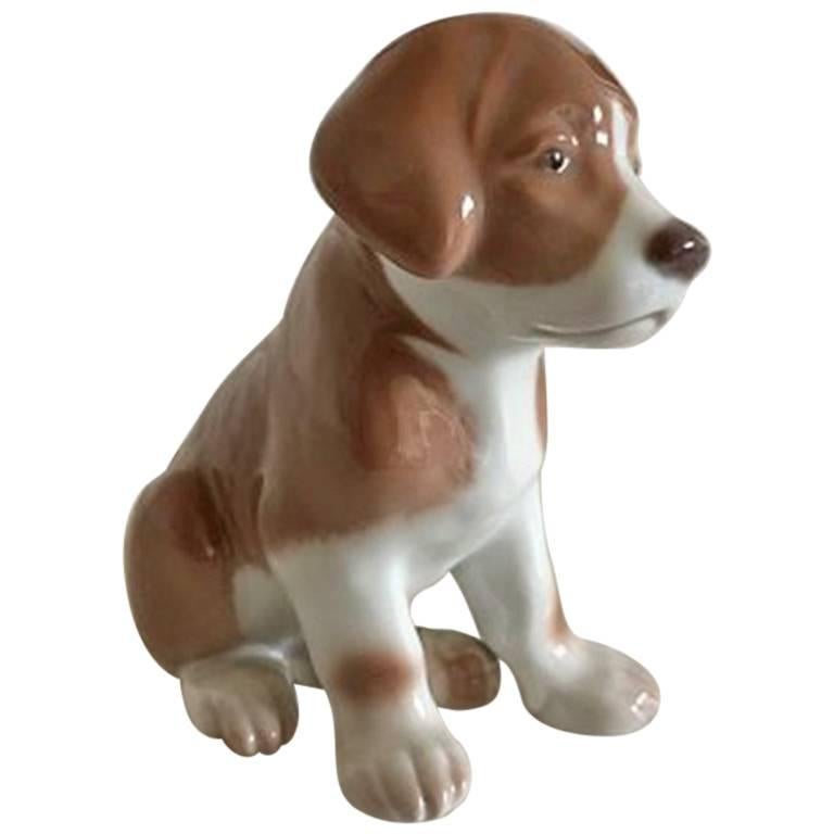 Bing & Grondahl Figure of Dog #1921 For Sale