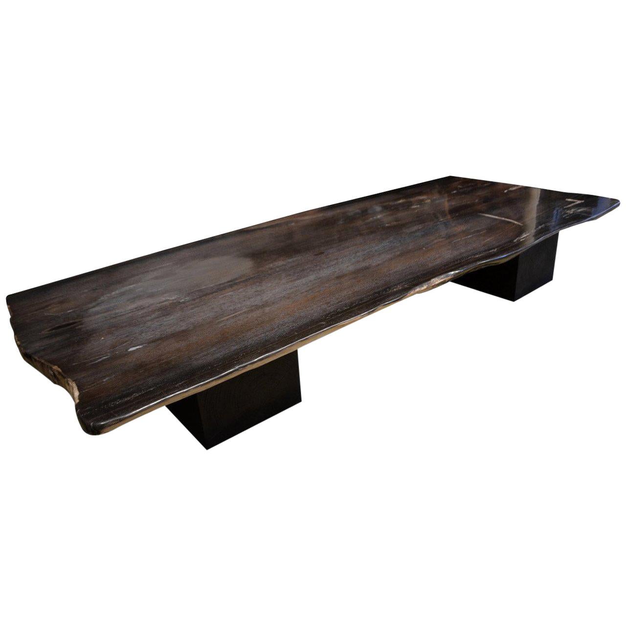Andrianna Shamaris Super Smooth Petrified Wood Coffee Table or Dining Table
