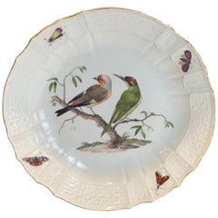 18th Century Meissen Ornithological Charger