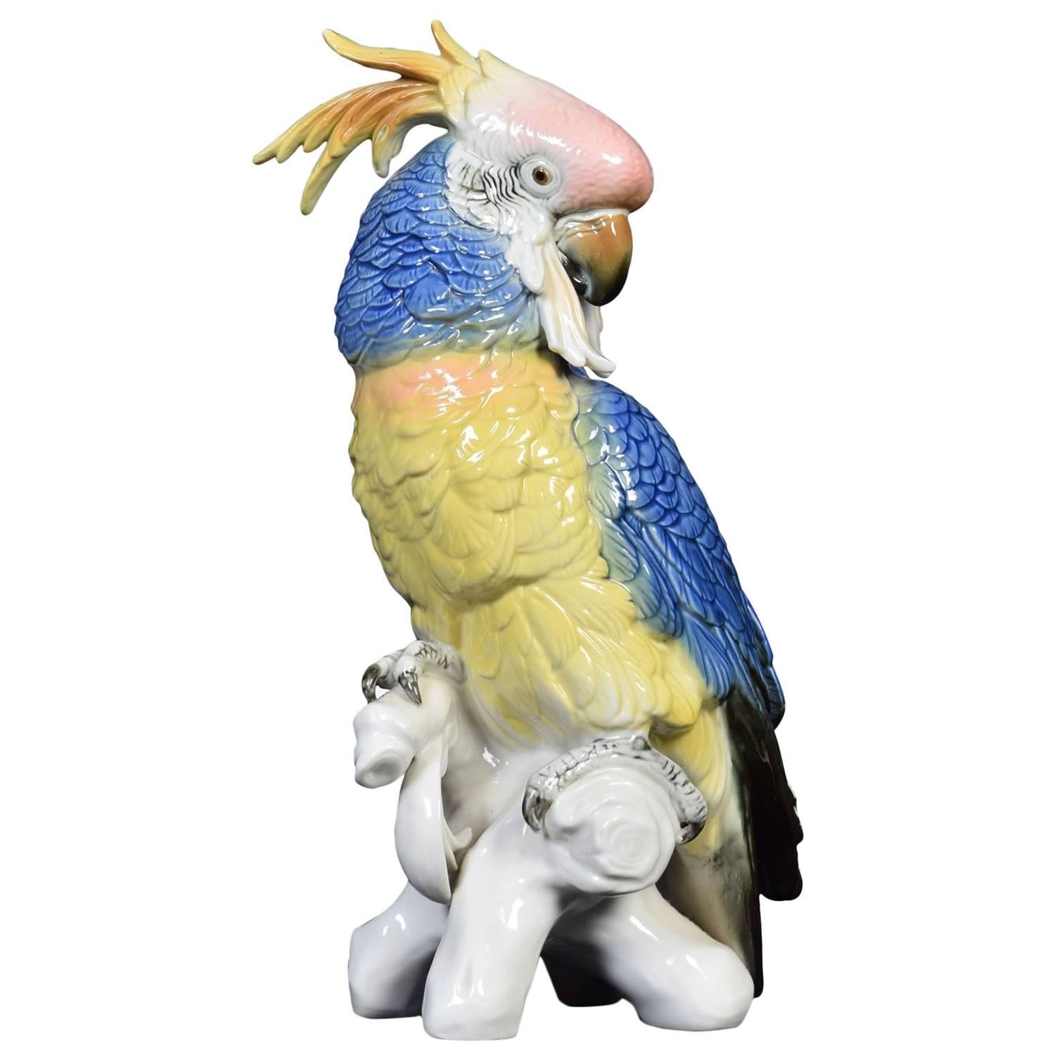 Porcelain Parrot by Karl Ens