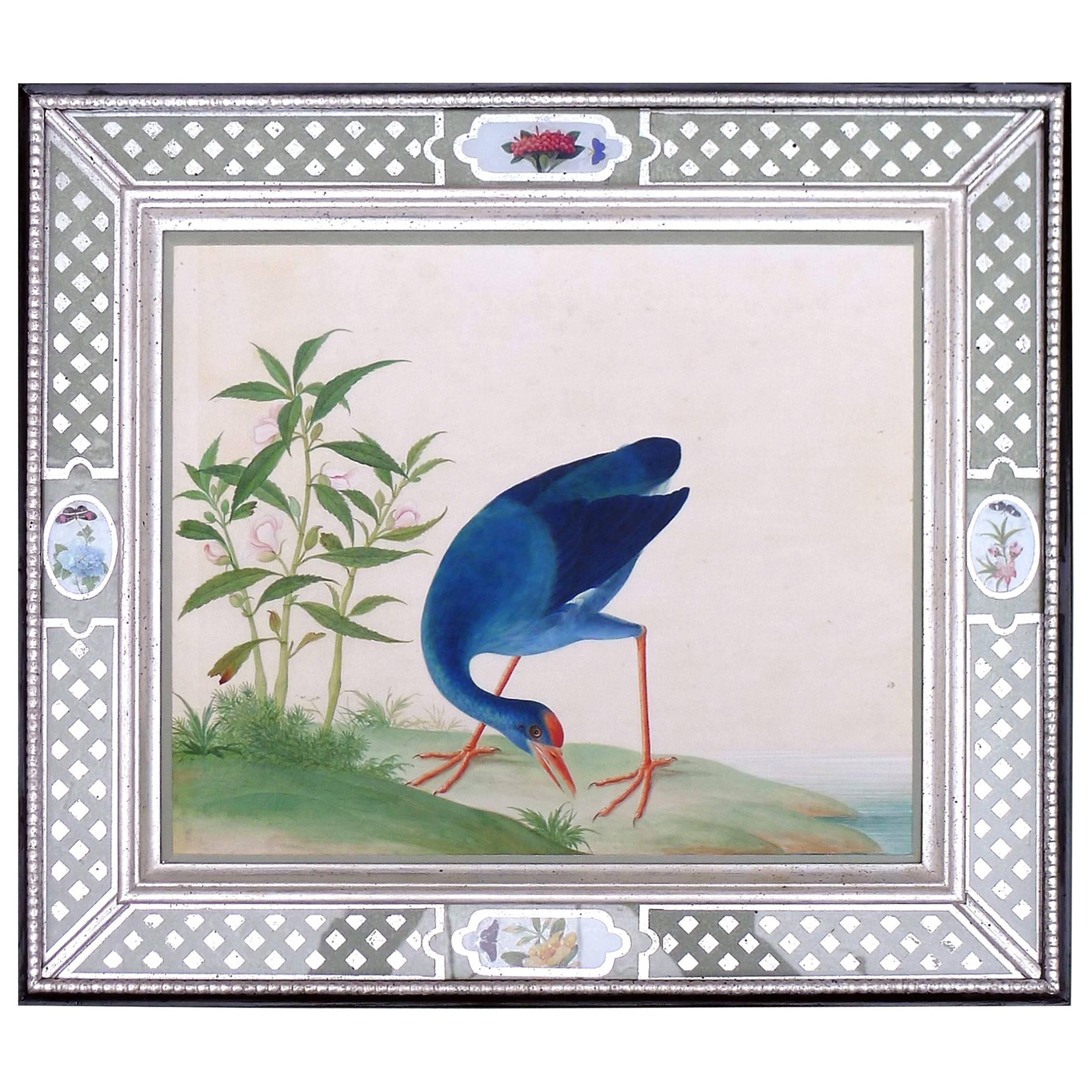 China Trade Large Watercolour Painting of a Bird, circa 1800-1820