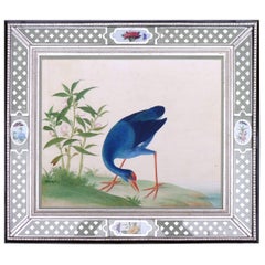 Antique China Trade Large Watercolour Painting of a Bird, circa 1800-1820