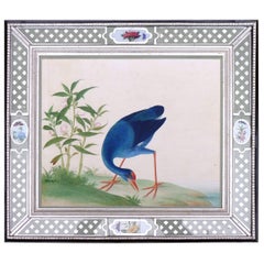 China Trade Large Watercolour Painting of a Bird, circa 1800-1820