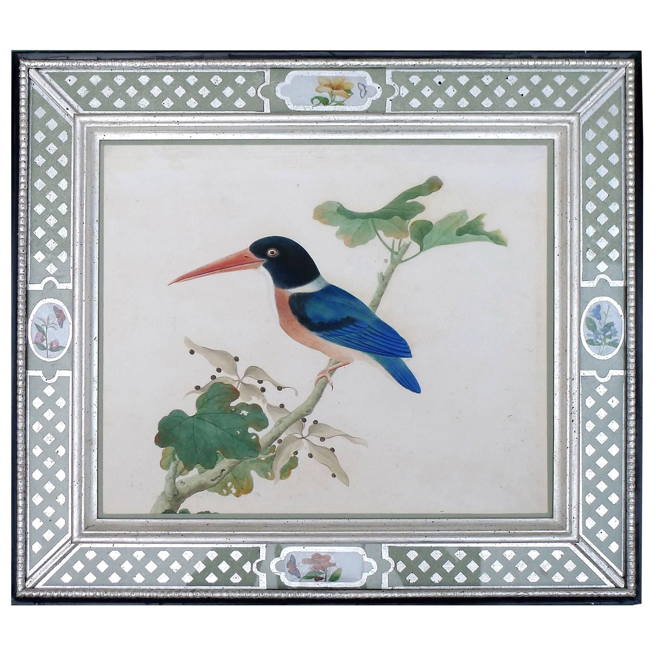 China Trade Large Watercolor Painting of a Bird, Kingfisher, circa 1800-1820