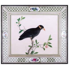 Antique China Trade Large Watercolor Painting of a Bird, circa 1800-1820