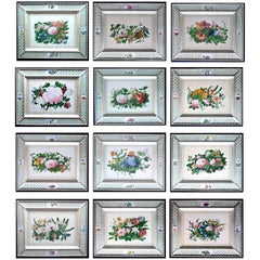 China Trade Set of Twelve Botanical Flower Pith Paper Paintings
