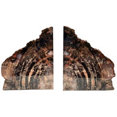 Very Large Pair of Bookmatched Petrified Wood Bookends