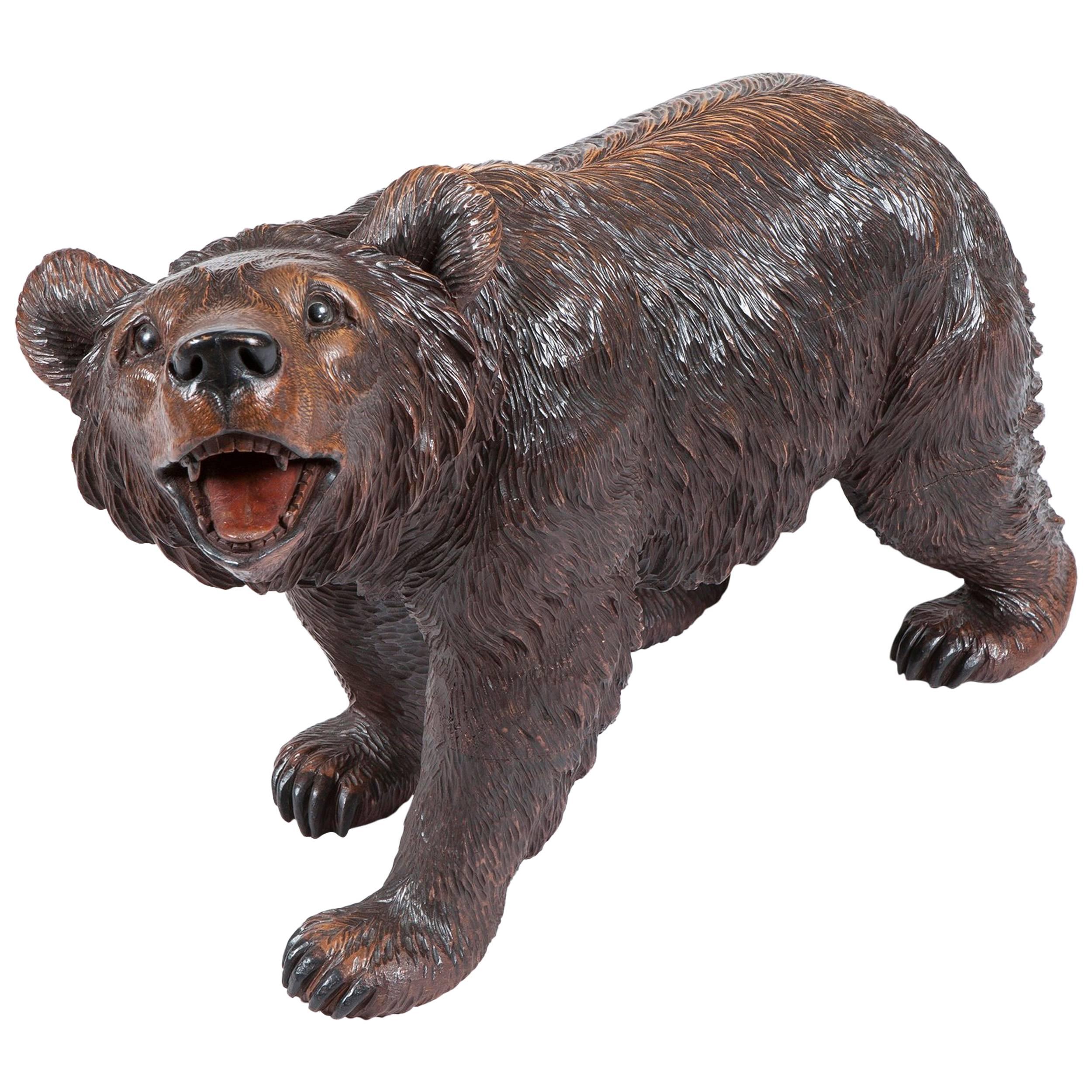 19th Century 'Black Forest' Bear