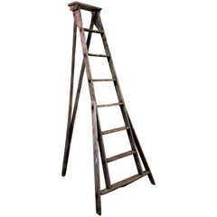 Vintage American Orchard Harvest Ladder