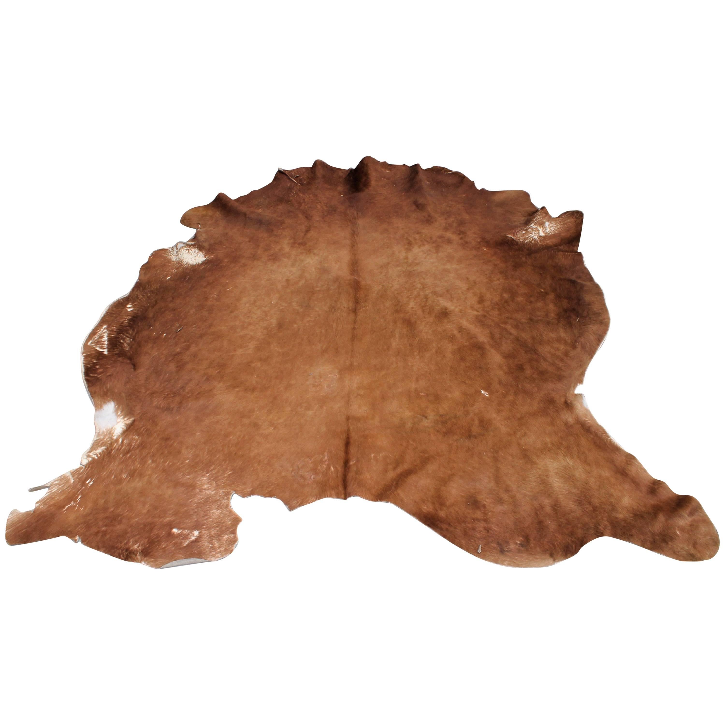 Vintage Cow Hide From Texas