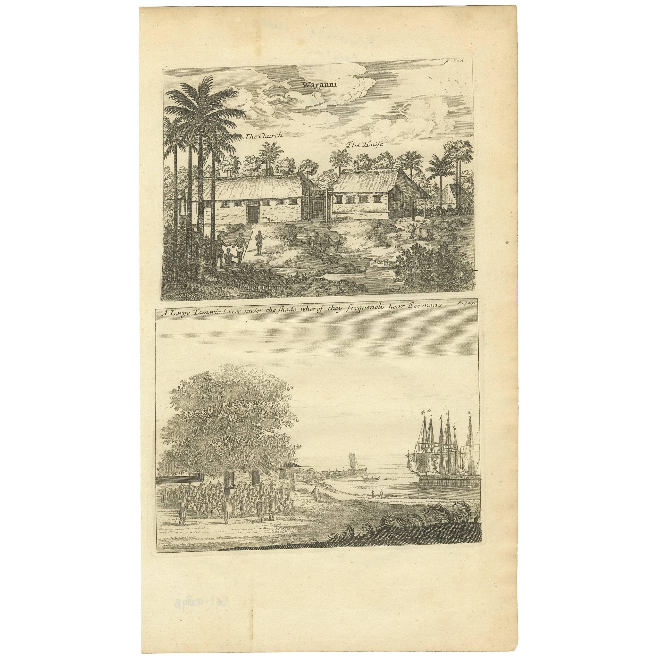 Antique Print of Waranni and a Tamarind Tree 'Ceylon, Sri Lanka' For Sale