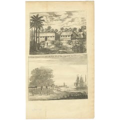 Antique Print of Waranni and a Tamarind Tree 'Ceylon, Sri Lanka'