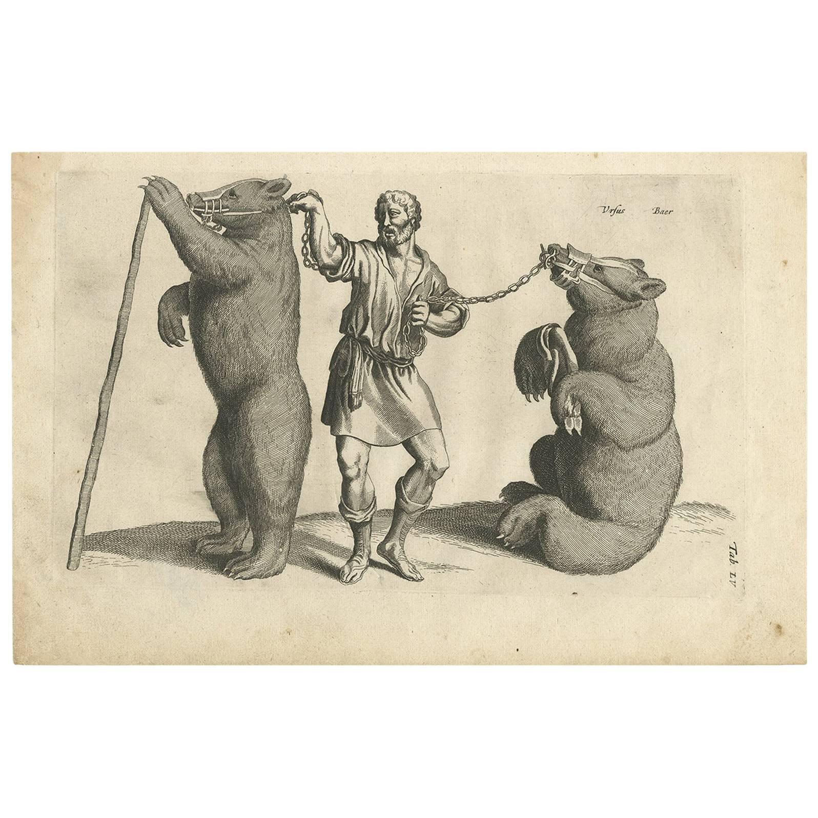 Antique Print of a Man with Two Bears by J. Jonston, 1657 For Sale