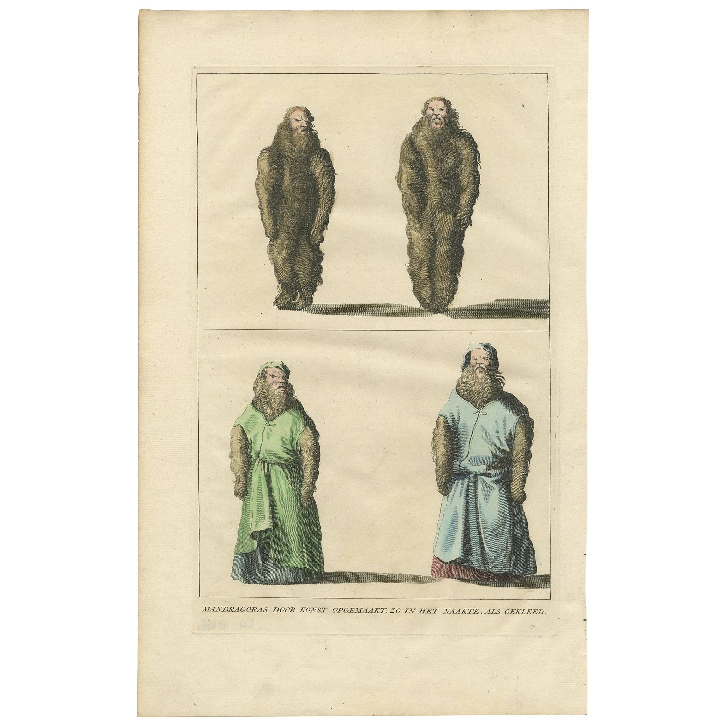Antique Print of Mandragores ‘Mandrakes, Naked and Clothed’ by A. Calmet For Sale