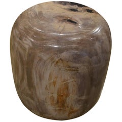 Antique Andrianna Shamaris Drum Shape Petrified Wood