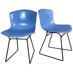 Pair of Harry Bertoia for Knoll Blue Fiberglass Side Chairs Black Wire Base