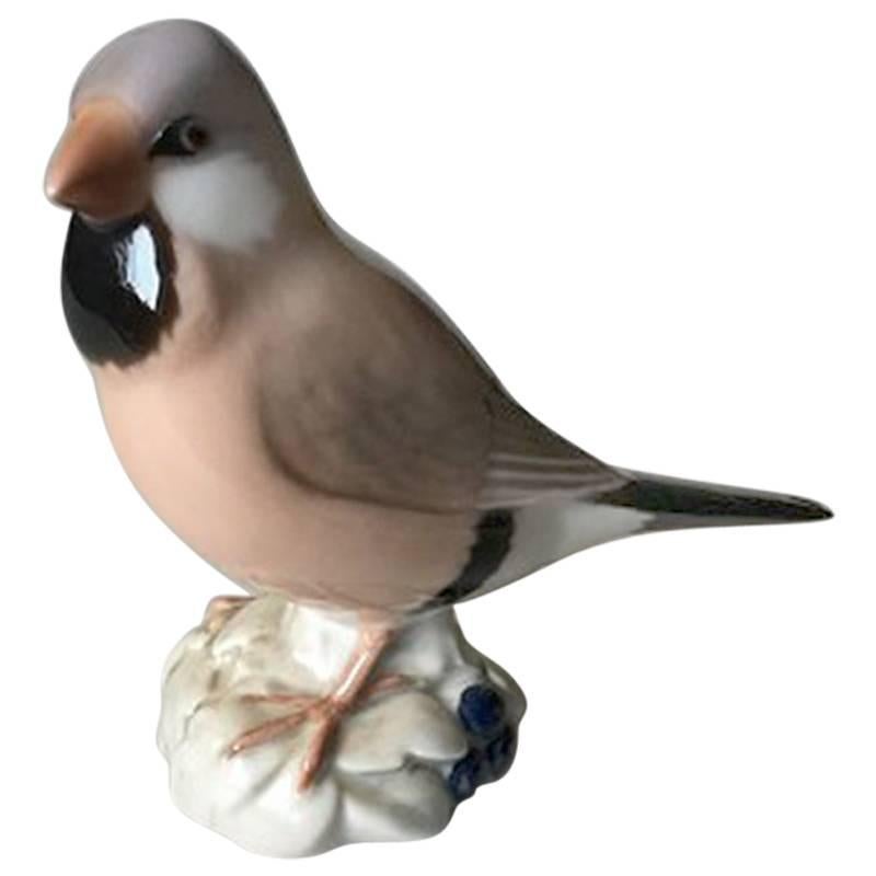 Bing & Grondahl Figurine Finch #2348 For Sale