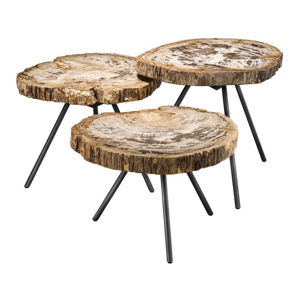 Petrified Wood Clear Slices Set of 3 Coffee Table For Sale