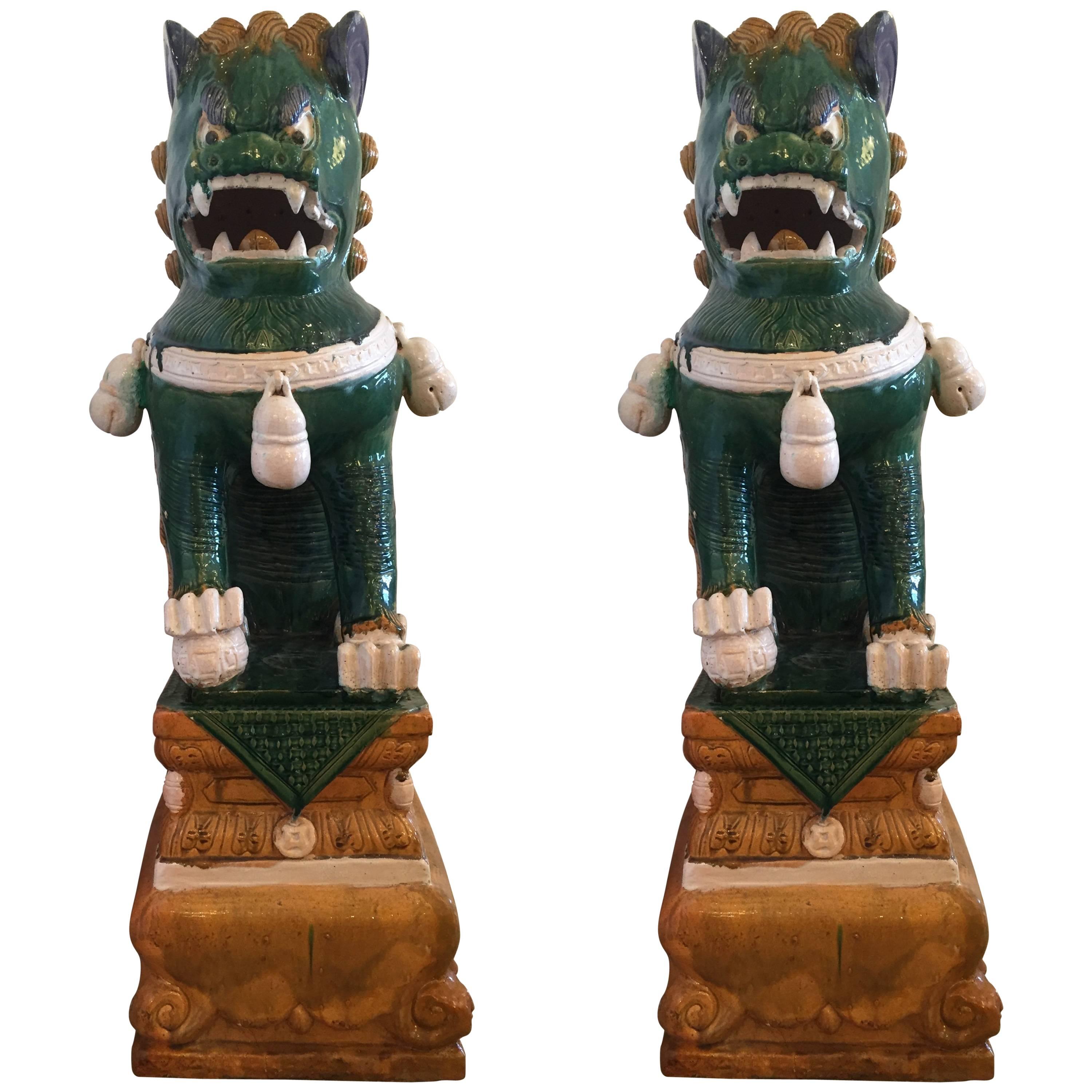 Gargantuan dramatic pair of green and ochre Chinese foo dogs, having a luscious glaze over clay.