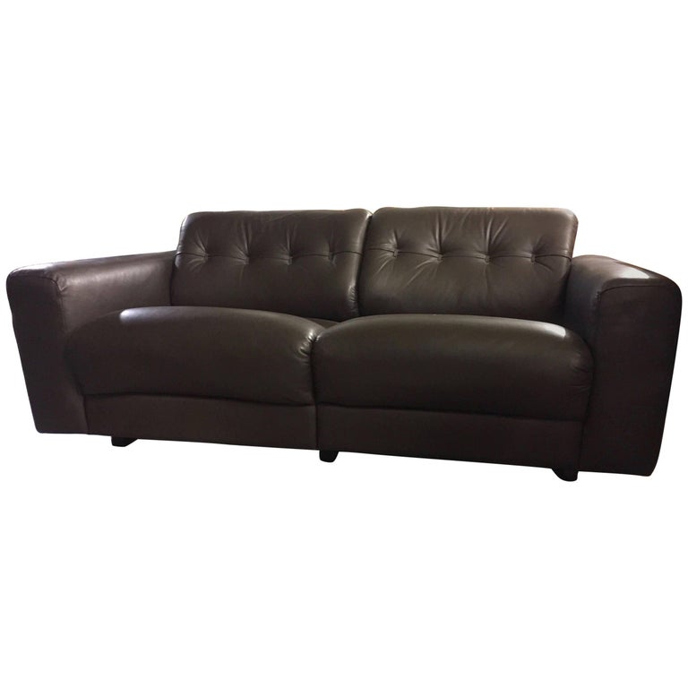 Rare Ds40 Two Seat Sofa By De Sede In Wonderful Condition At 1stdibs Rare Ds40 Two Seat Sofa By De Sede In Wonderful Condition For