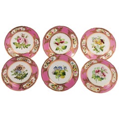 Set of Six Mid-19th Century Porcelain Botanical Plates Retailed by Daniell