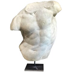 Gladiatore Borghese, Plaster Bust, Copy in Scale 1/1