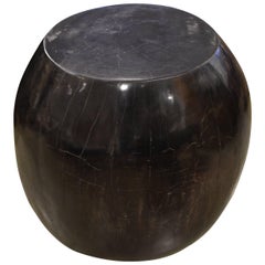 Andrianna Shamaris Super Smooth Drum Shape Petrified Wood Side Table