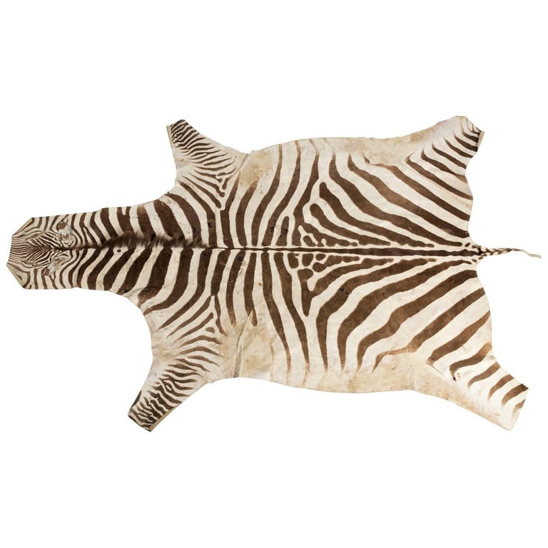 African zebra skin rug or wall hanging at 1stdibs