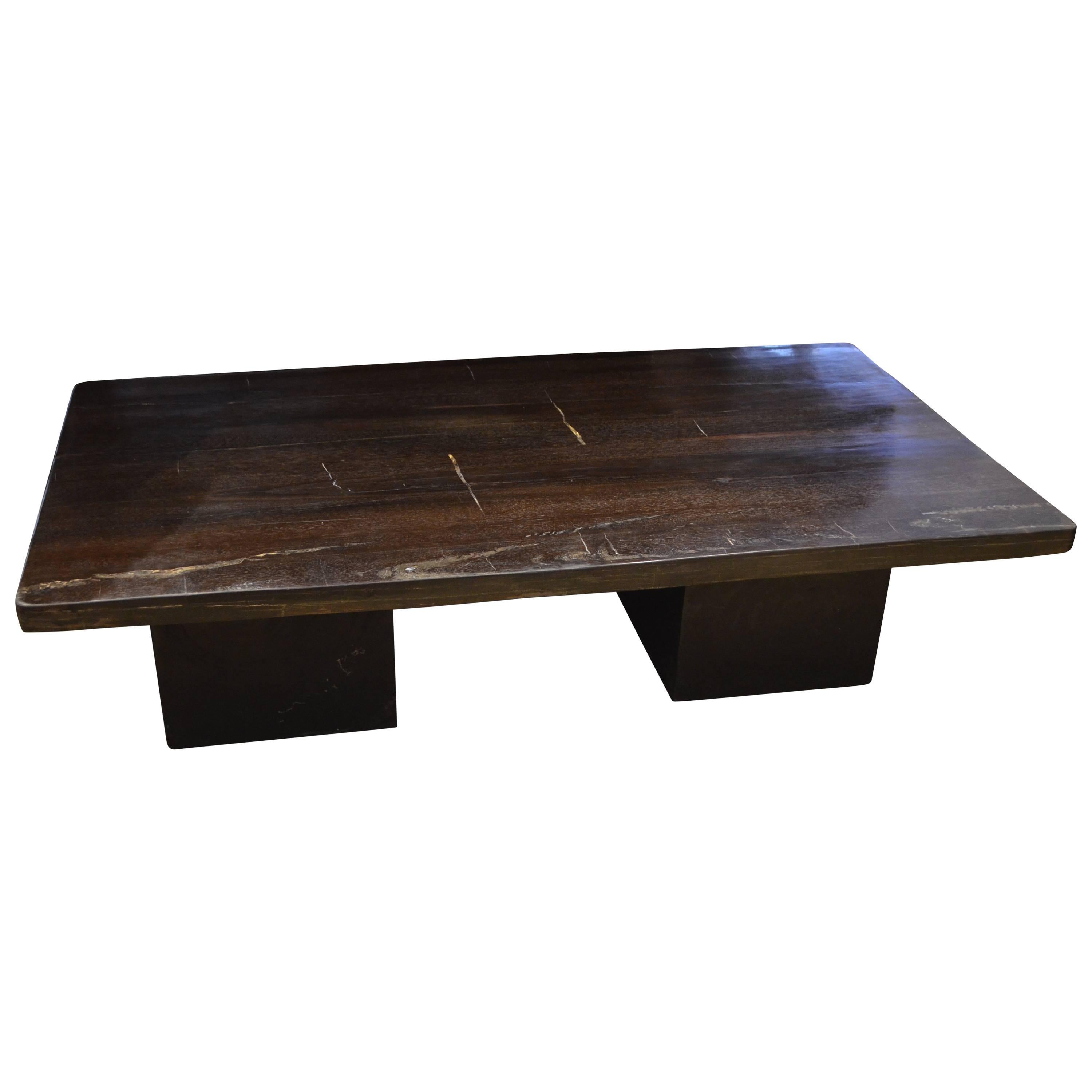 Andrianna Shamaris superbe table basse en bois pétrifié lisse en vente
