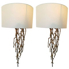 Pair of Brass Sconces Coral Model