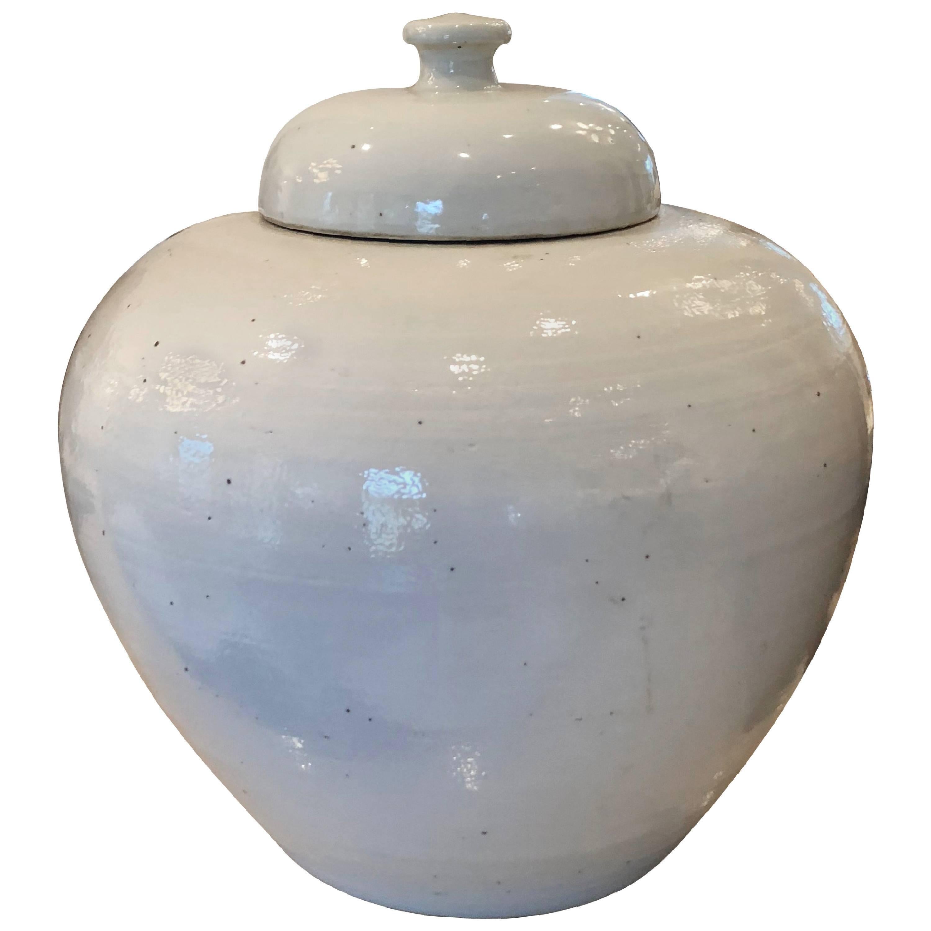 Large Chinese Ceramic Ginger Jar