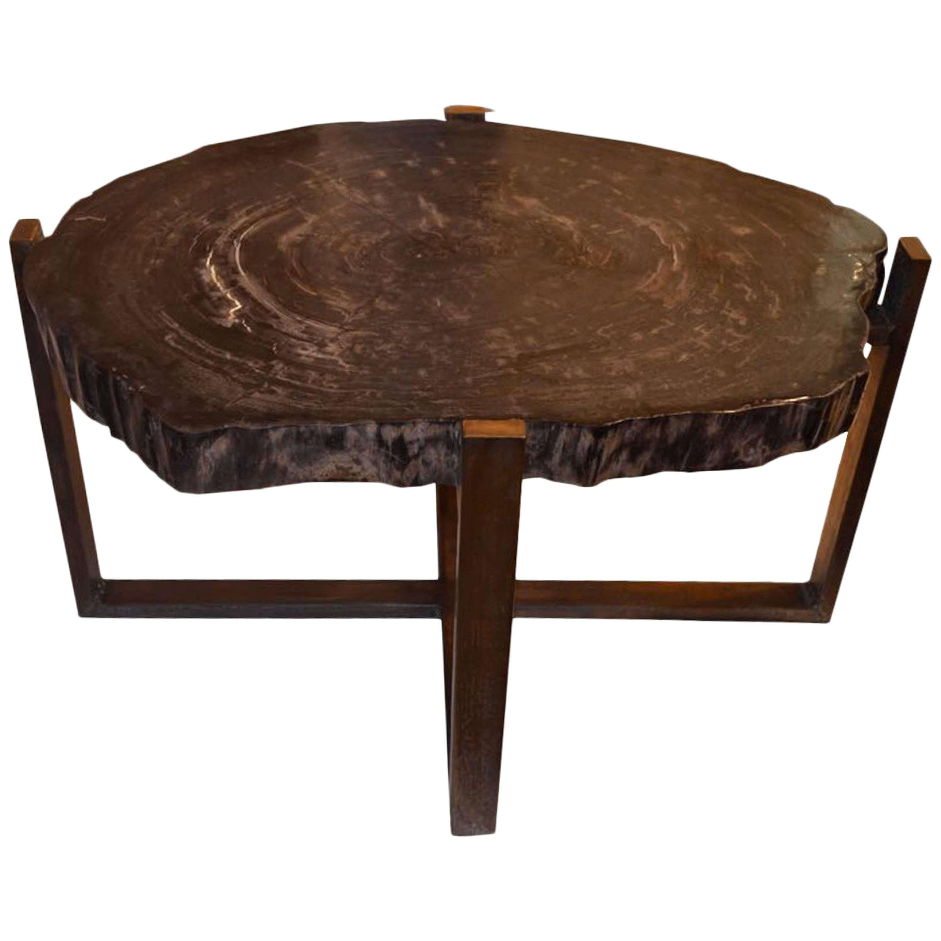 Andrianna Shamaris Petrified Wood Slab Table with Bronze Base