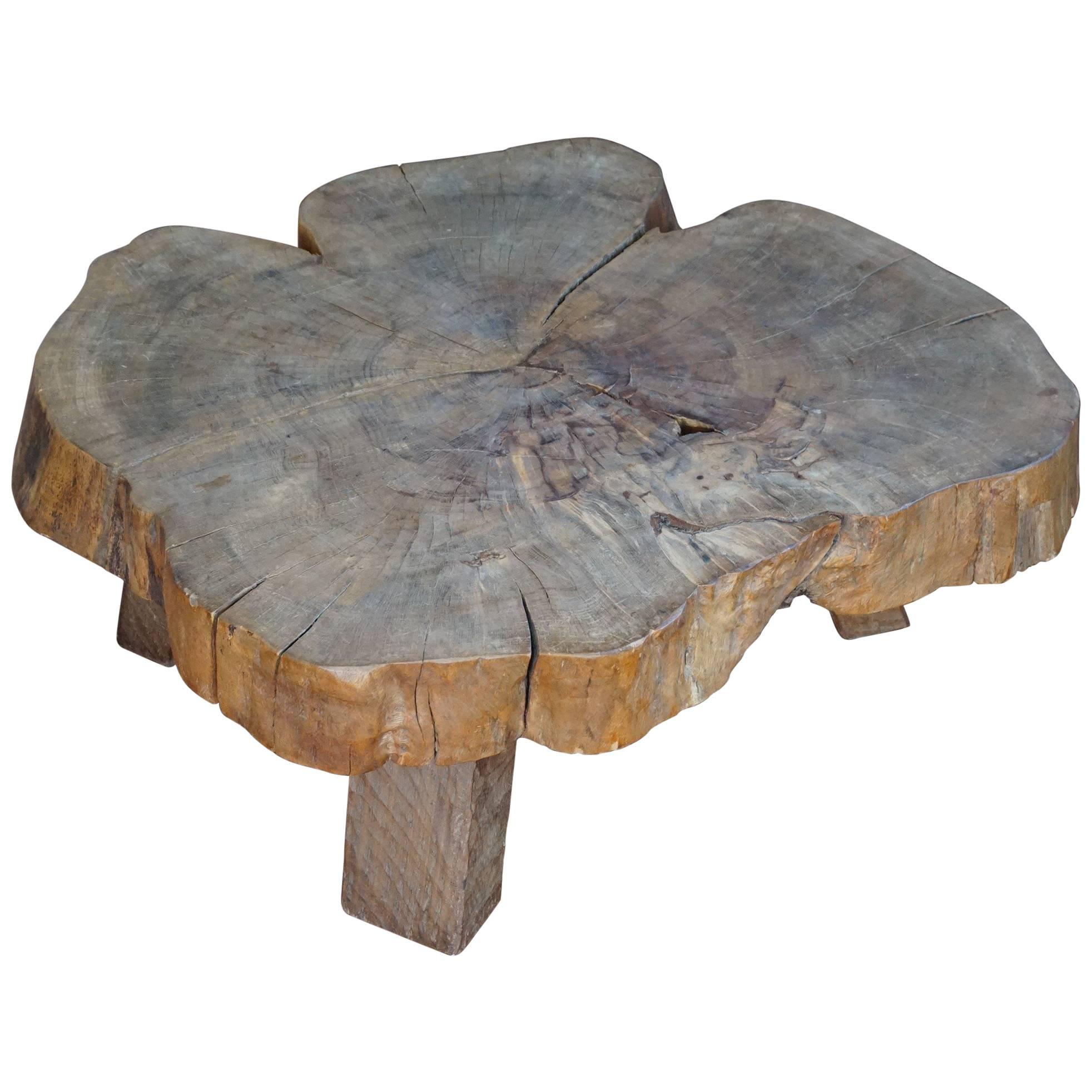Midcentury, 1960-1970 Organically Stylish Walnut Wooden Tree Trunk Coffee Table