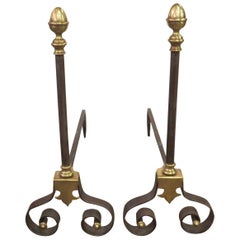 Pair of French 19th Century Steel and Brass Chenets