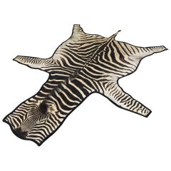 Retro Forsyth Zebra Hide Rug Trimmed in Black Velvet