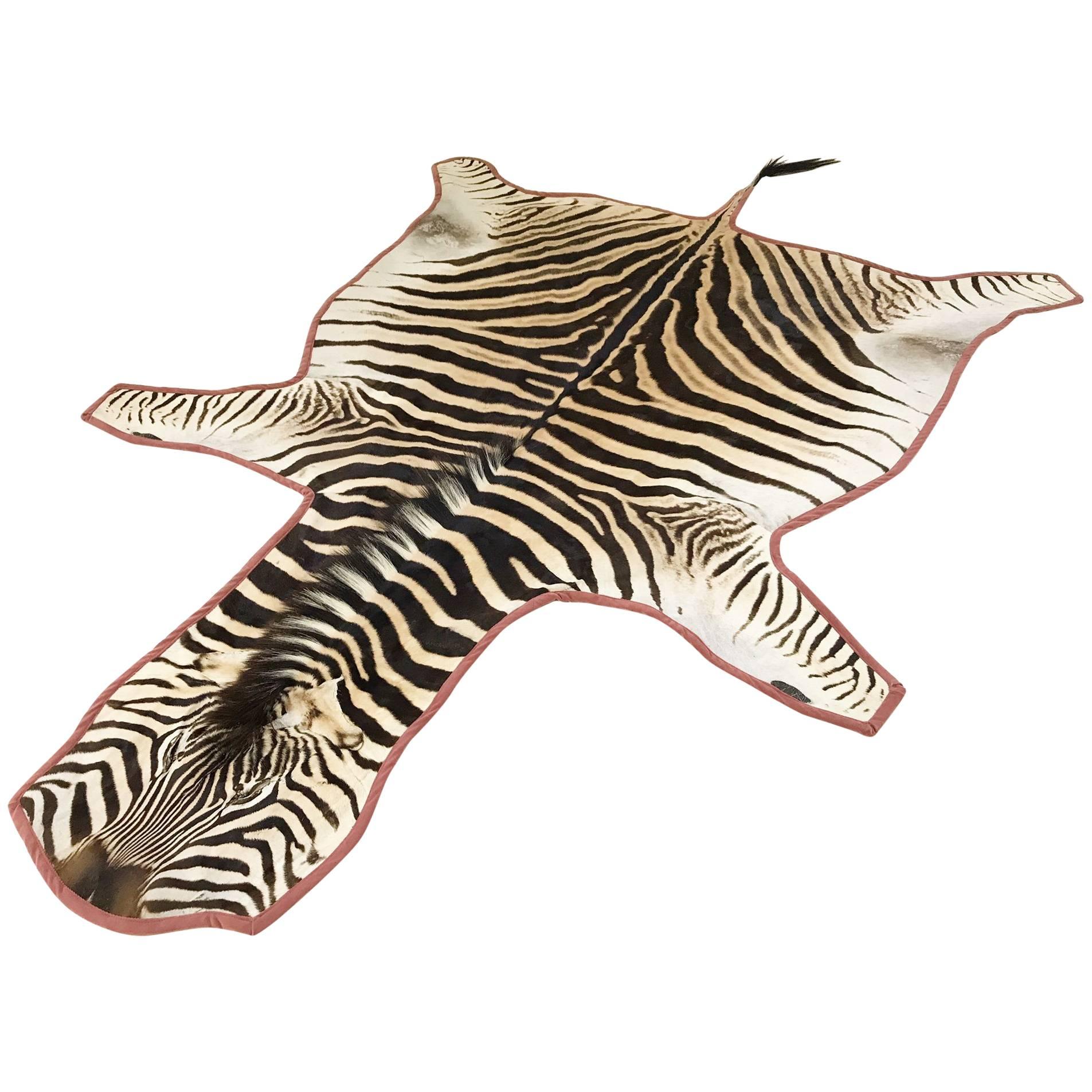 Forsyth Zebra Hide Rug Trimmed in Blush Velvet at 1stDibs