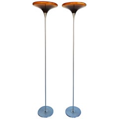 Rare Pair of 1970s Peters Design Floor Lamp