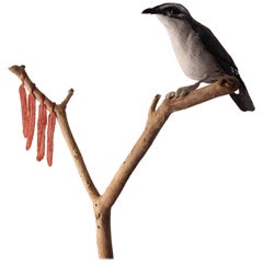 Bird Sculpture Fourtitude Part of the ‘Bird Brain’ Series