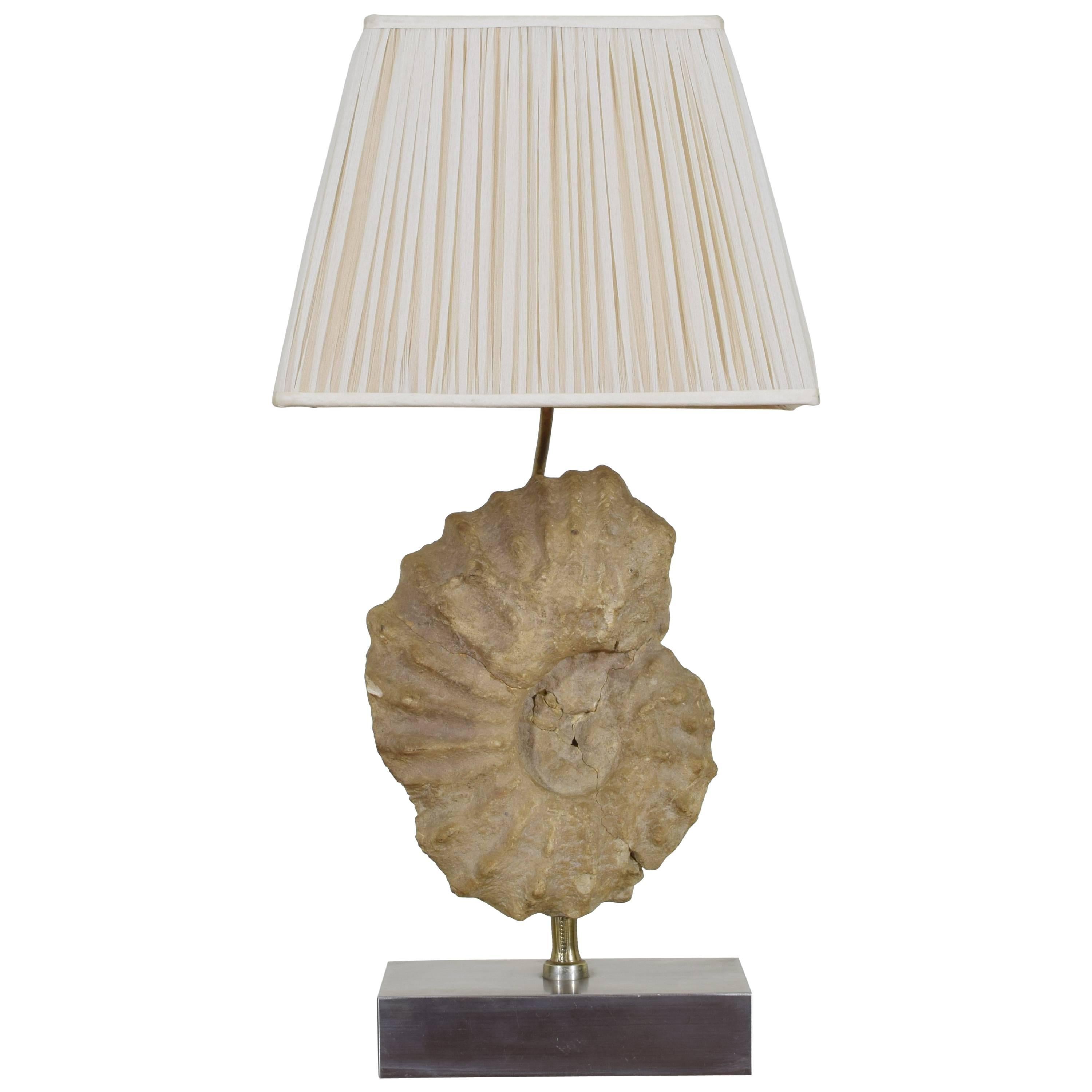 French Ammonite Fossil Mounted as a Table Lamp on a Brushed Steel Base